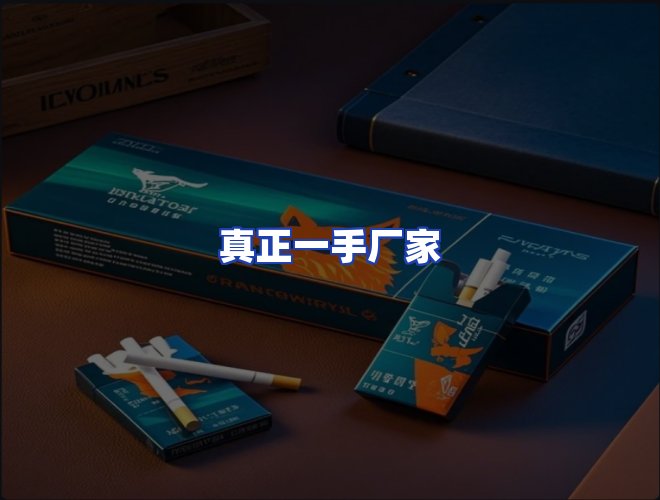 专业团队
